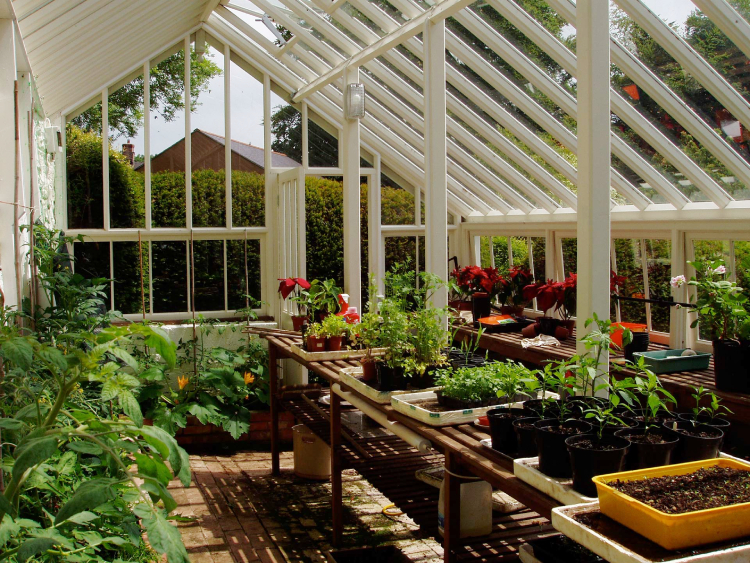 بهترین مصالح برای ساخت سقف گلخانه