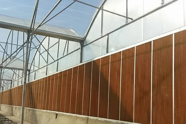 آشنایی با مشخصات پد سلولزی گلخانه